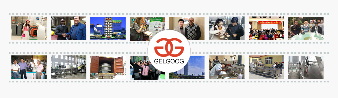 gelgoog