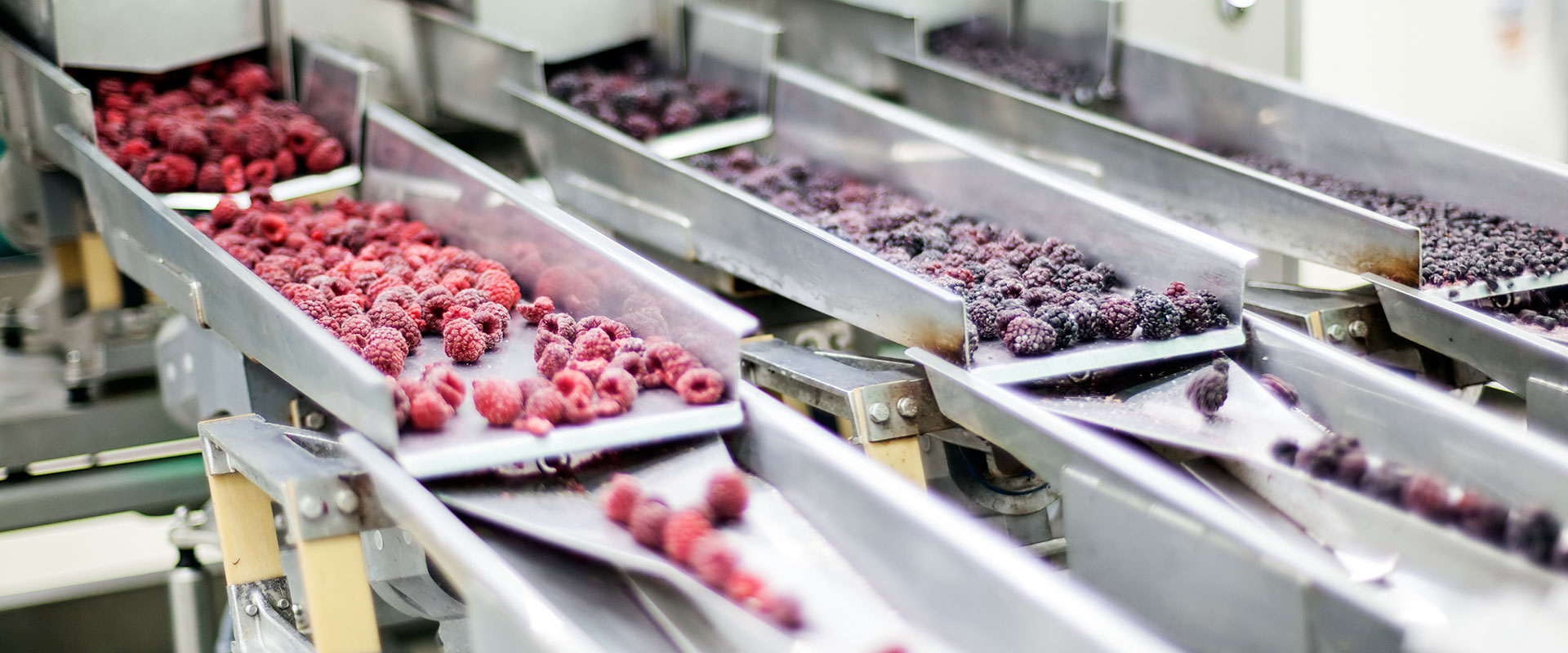 Cold Processing Gelgoog Group Cold Processing Gelgoog Group