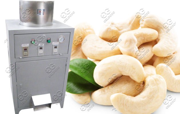 Automatic Cashew Nuts Peeling Machine - GELGOOG Machinery