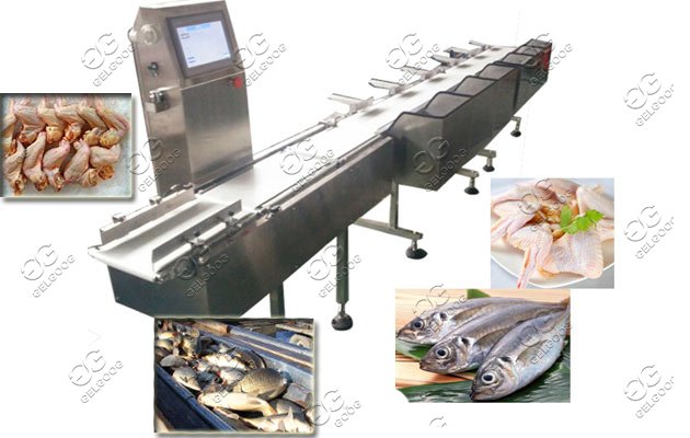 fish sorting machine 