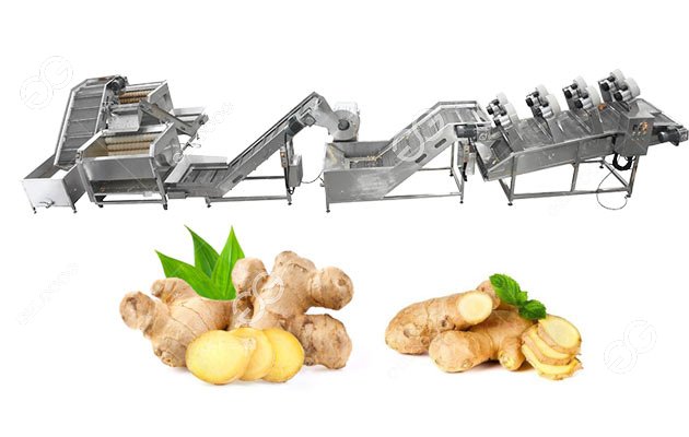 Customized Ginger Processing Solution to Nigerian Customer