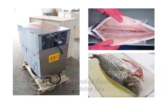 Fish Processing