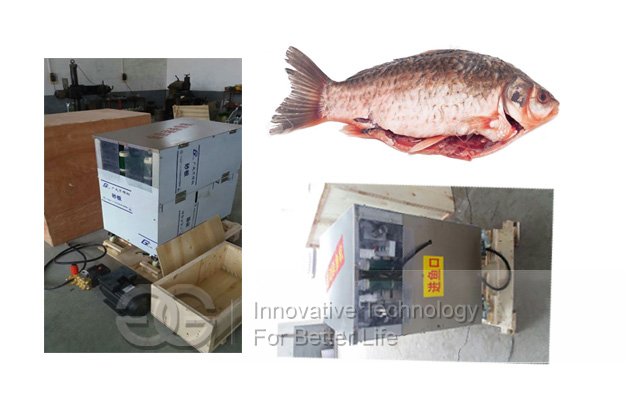 Fish Processing Machine