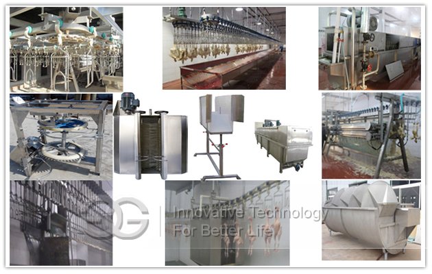 Bird Process Line