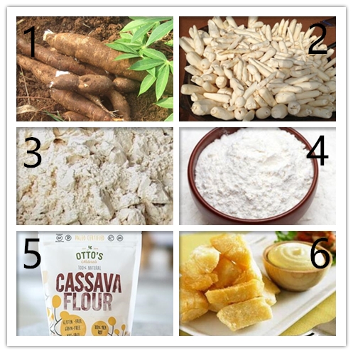 cassava flour production
