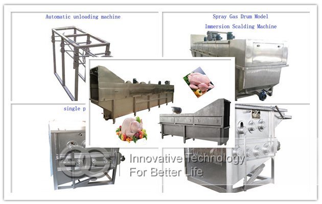 chicken abattoir equipment