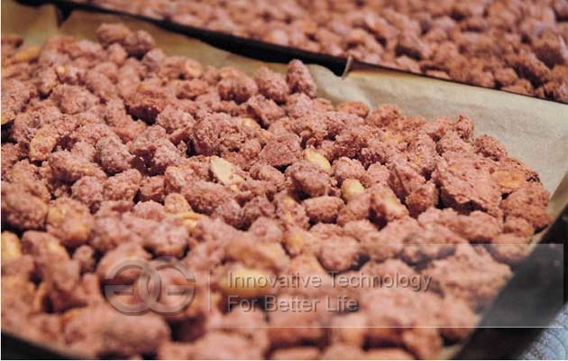 coated peanut machine