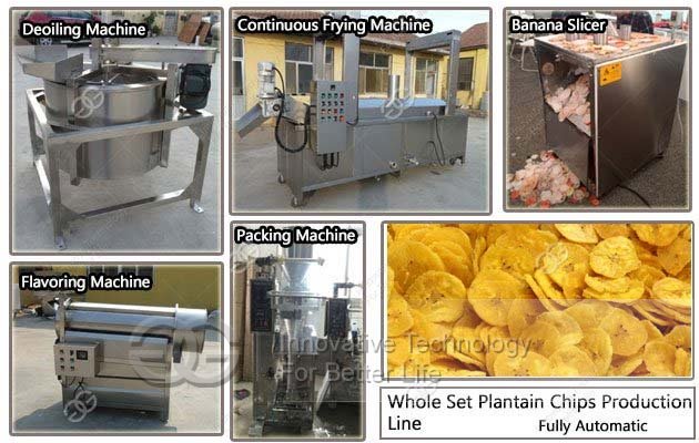 plantain chips business plant
