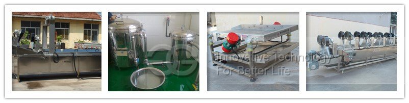 french fries processing machine