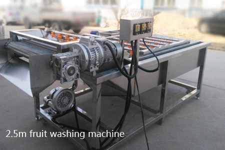fruit washing machine