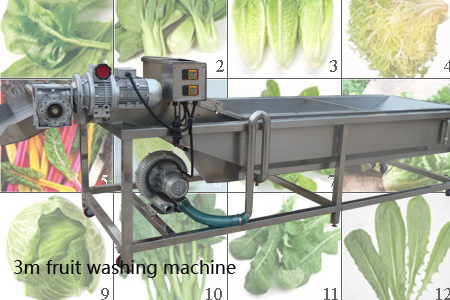 leafy vegetable washing machine