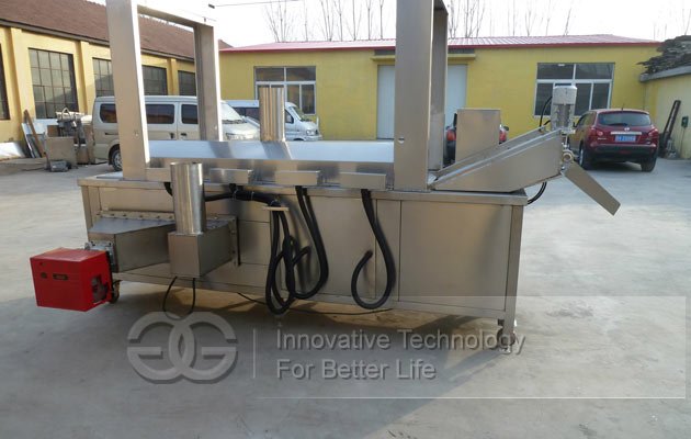 industrial continuous fryer