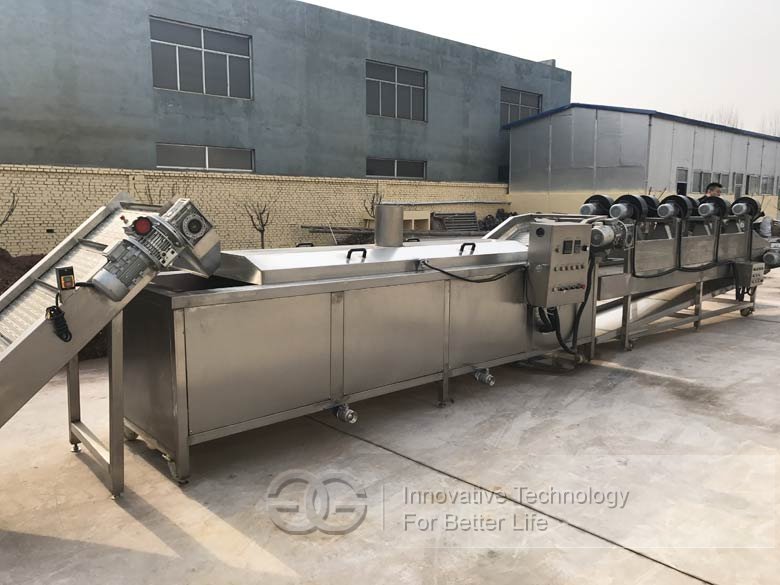 fruit vegetable washing machine