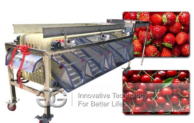 small size fruit grading machine
