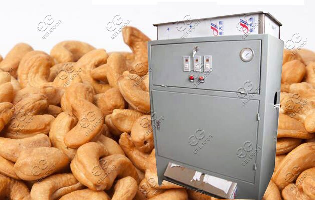 automatic cashew nut peeling machine