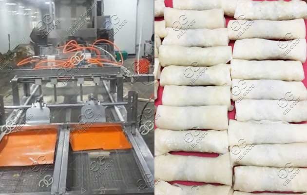 automatic spring roll machine