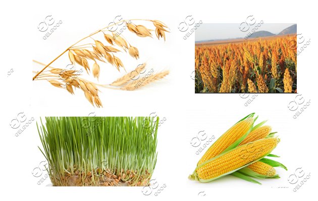 oat peeler machine