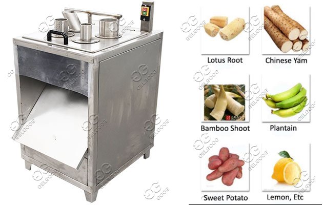 fruit slice cutting machine