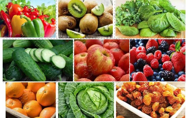 leafy vegetable washing machine price