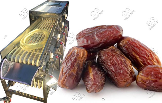 palm date grading machine