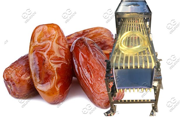 palm date grading machine hot sale