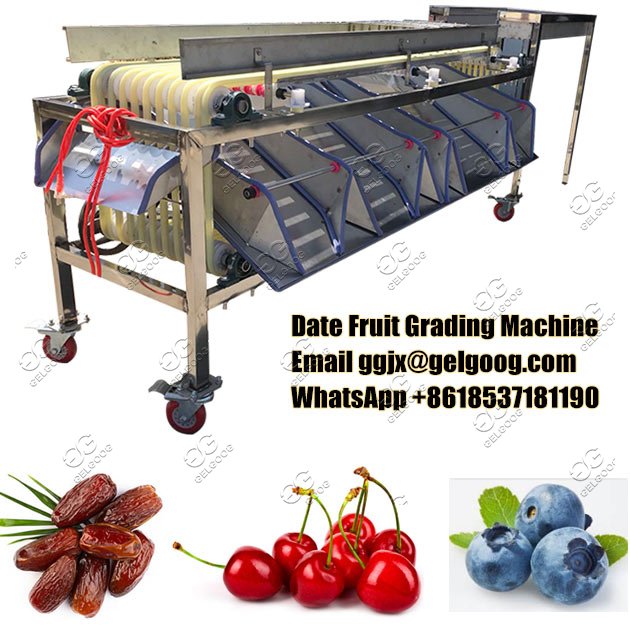 date fruit size sorting machine