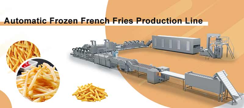 Frozen French Fries VS Fresh Cut French Fries  Potato Processing Machine  Manufacturer and Supplier