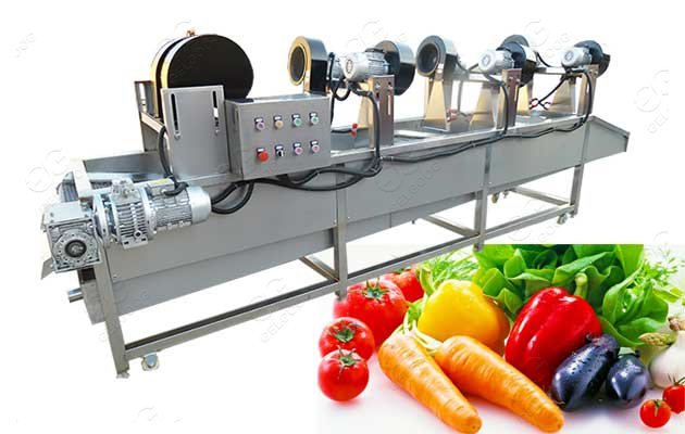 fruit vegetable washing plant