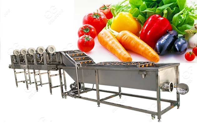 vegetable industrial washer for sale