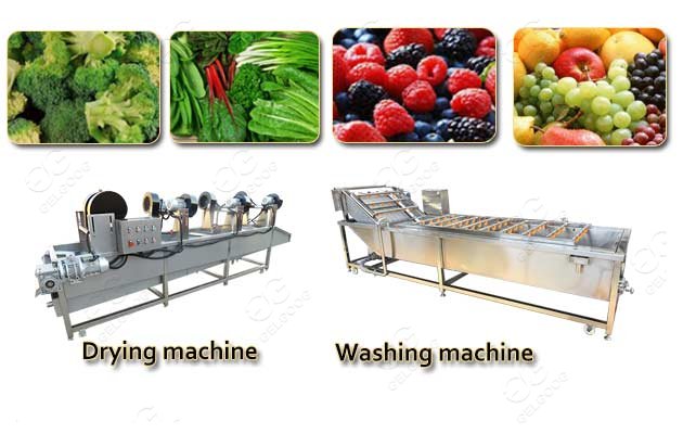 industrial fruit washing machine price