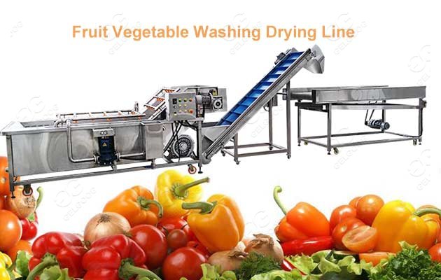 fruit vegetable washing plant