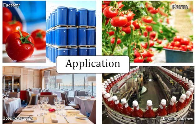 tomato processing plant for sale
