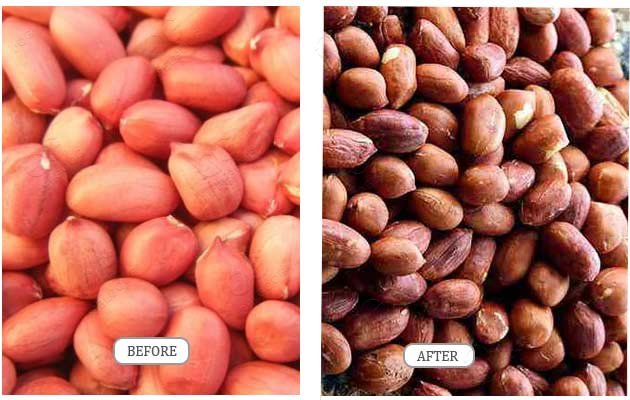 roasted peanut machine for sale
