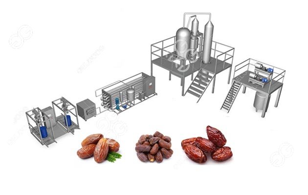 palm date processing line