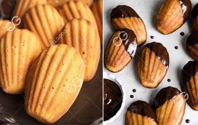 madeleine cake making machine for sale