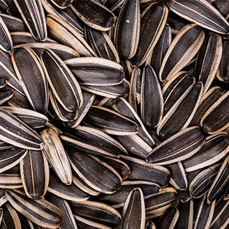 Sunflower Seeds