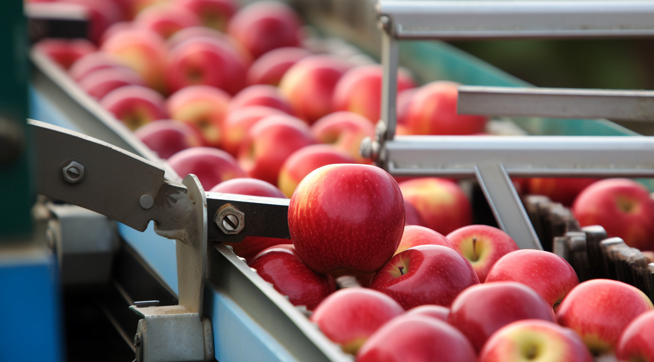 Fruit Vegetable Processing