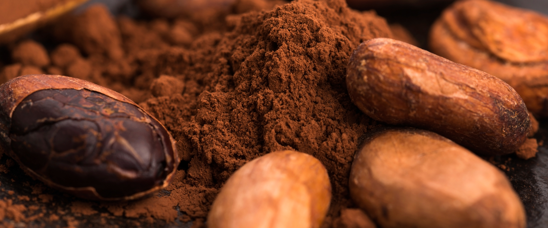 cocoa powder