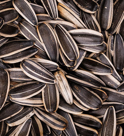 Shelled Seeds