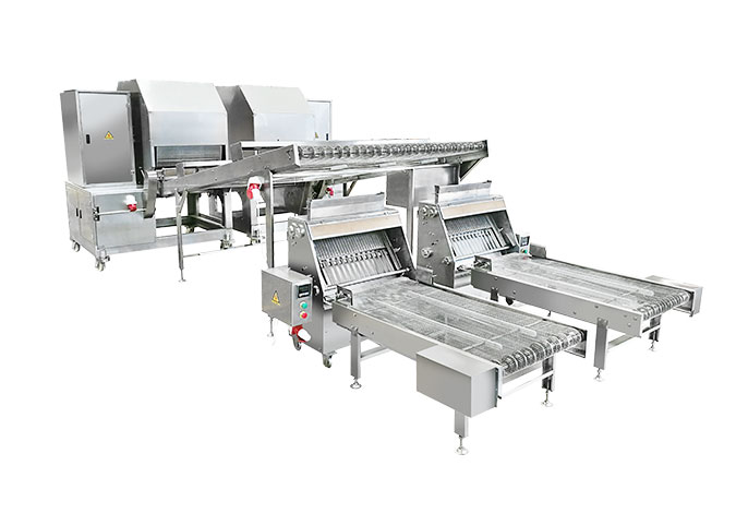 Spring Roll Wrapper Machine