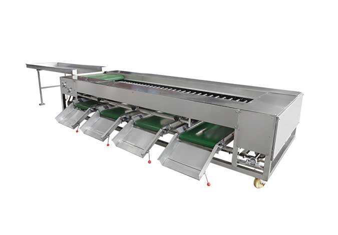  Tomato Sorting Machine Potato Size Grading Machine