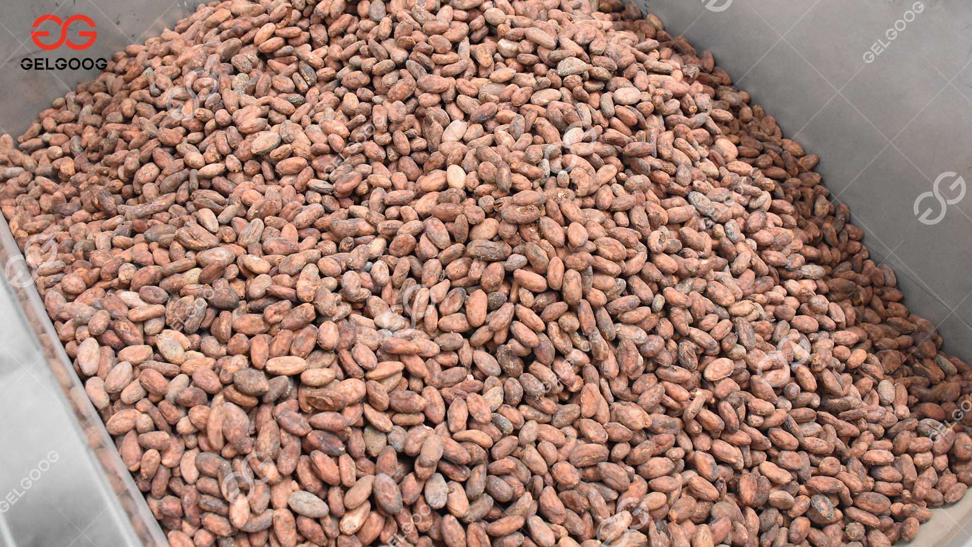 Automatic Cocoa Powder Production Line