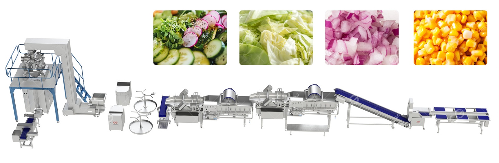 Automatic Salad Vegetable Processing Line for Sale
