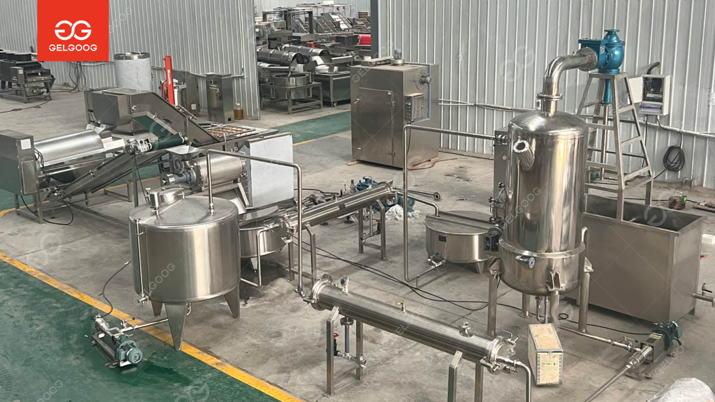 PomeGranate Juice Processing Line to Saudi Arabic
