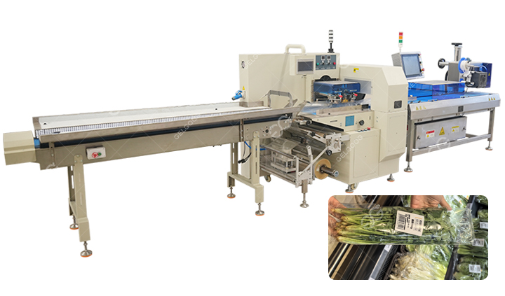Clean Vegetable Packaging Machine