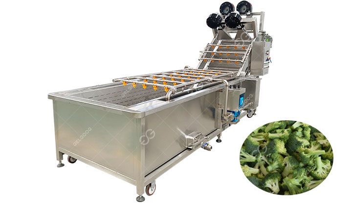 Air Bubble Vegetable Washing Machine