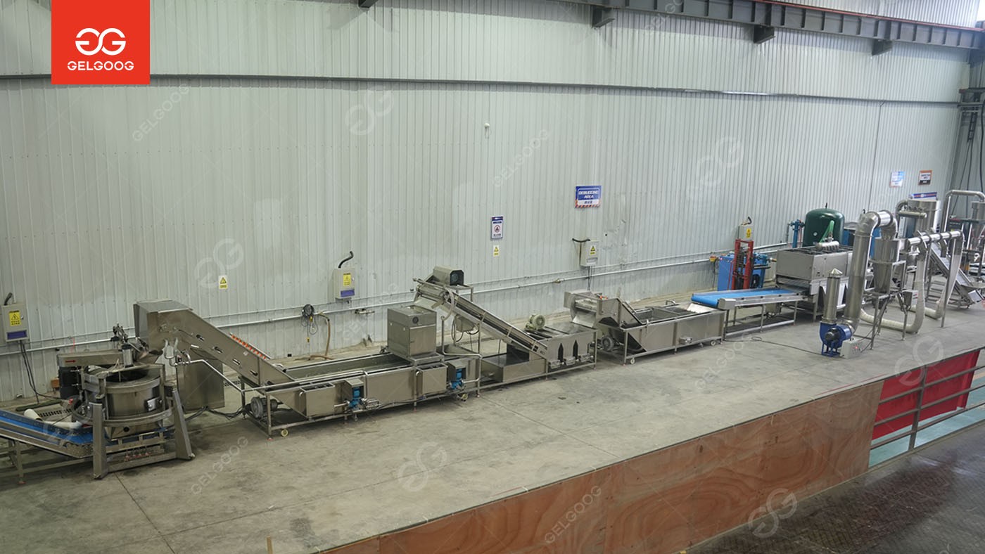 Garlic Slices Processing Line Ready to Spain
