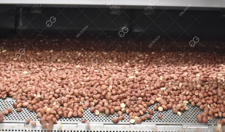 Roasted Peanuts