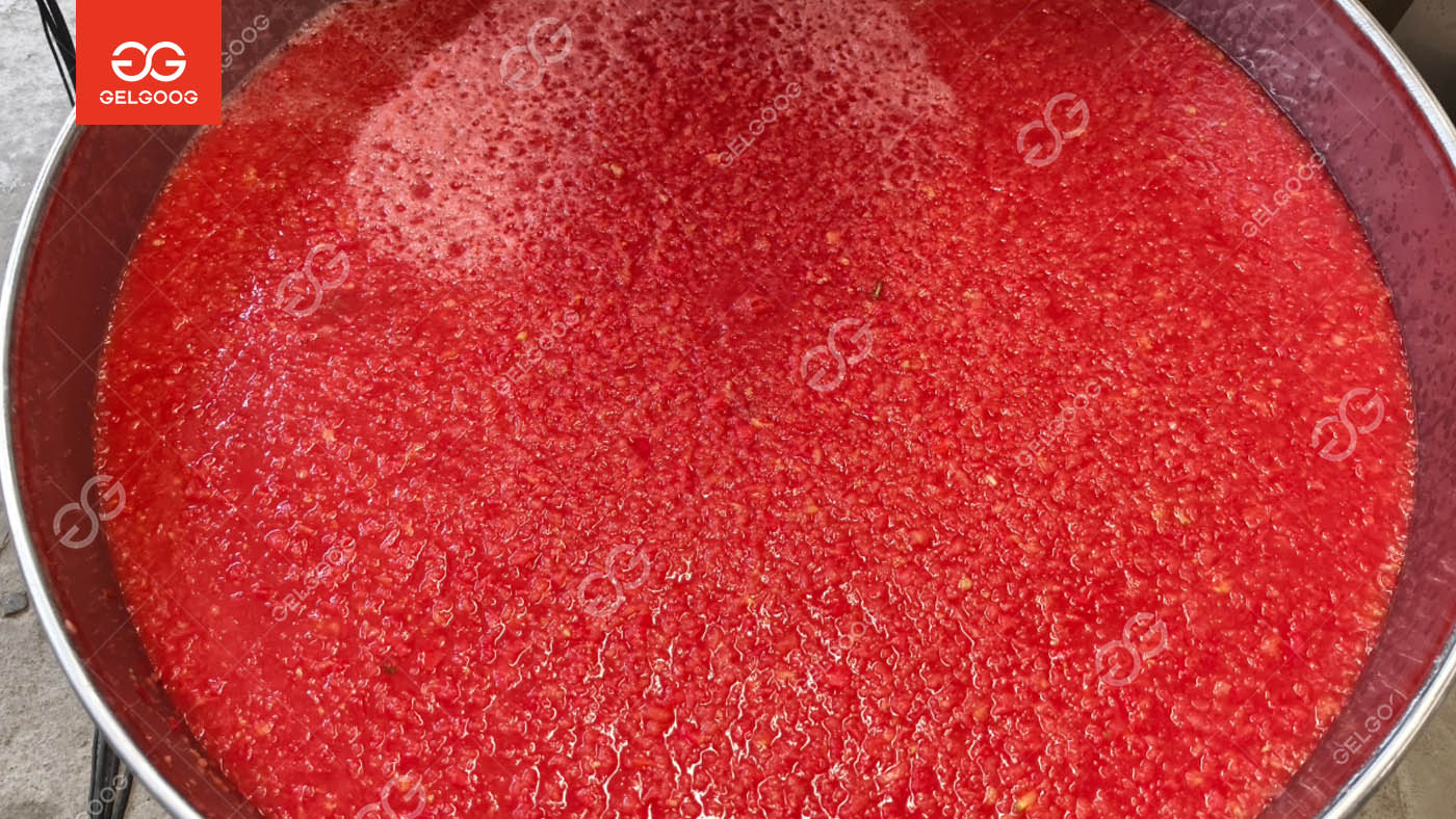 Tomato Ketchup Processing