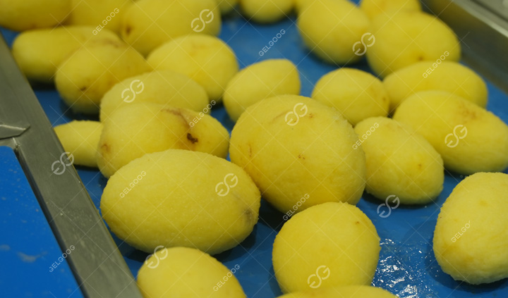 Machine for Washing Peeling Potatoes